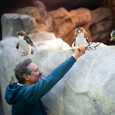 Eckart von Hirschhausen mit Pinguinen.