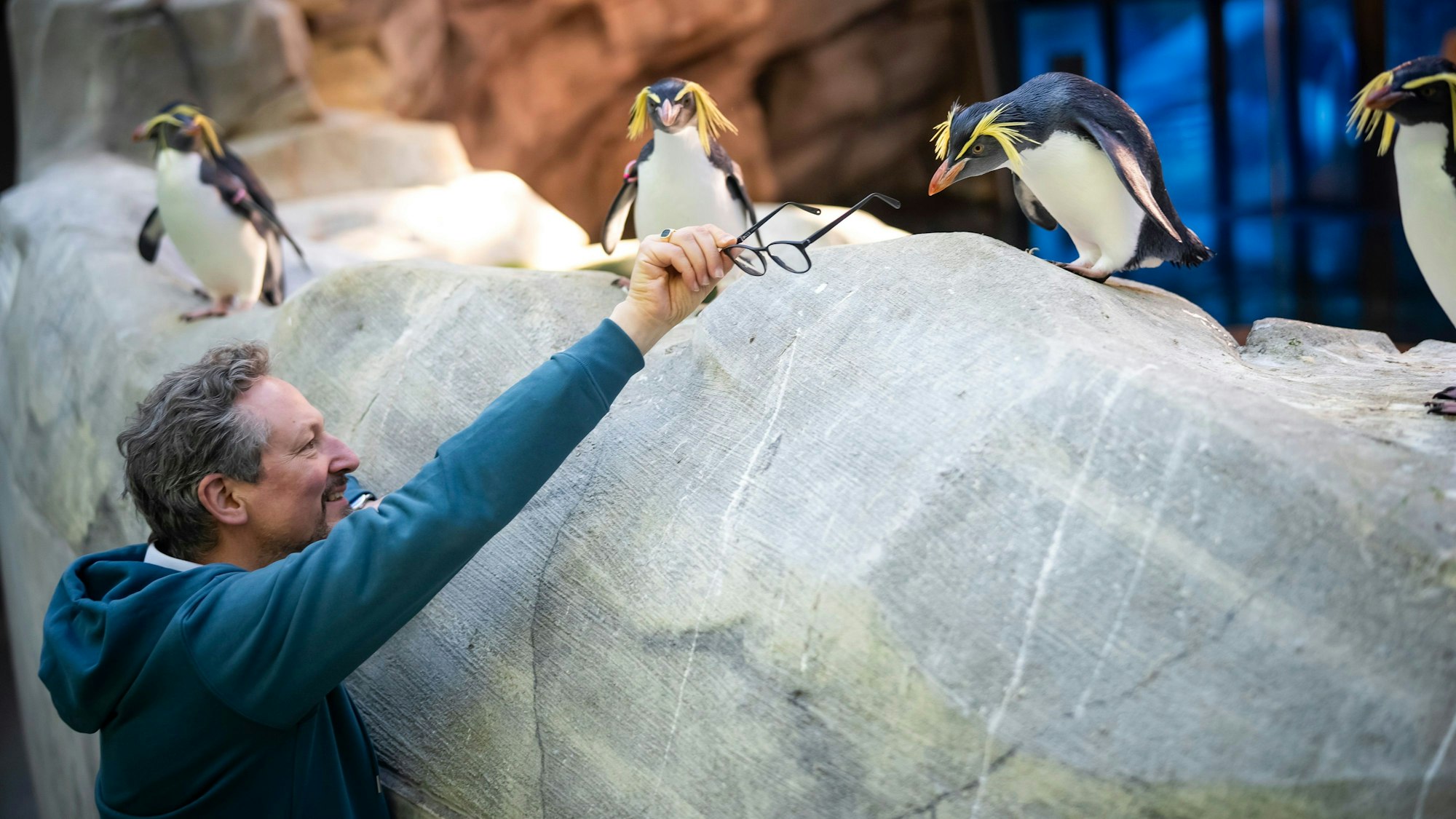 Eckart von Hirschhausen mit Pinguinen.