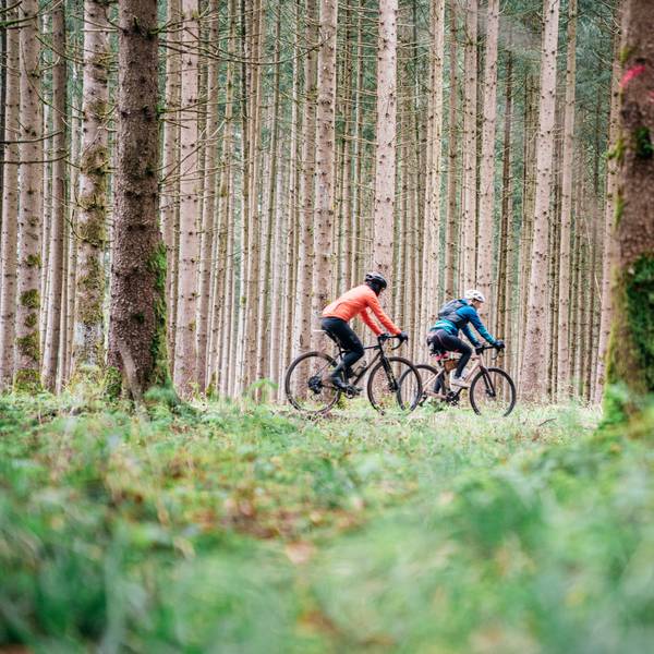 Zwei Radfahrer radeln durch einen Nadelwald.