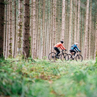 Zwei Radfahrer radeln durch einen Nadelwald.