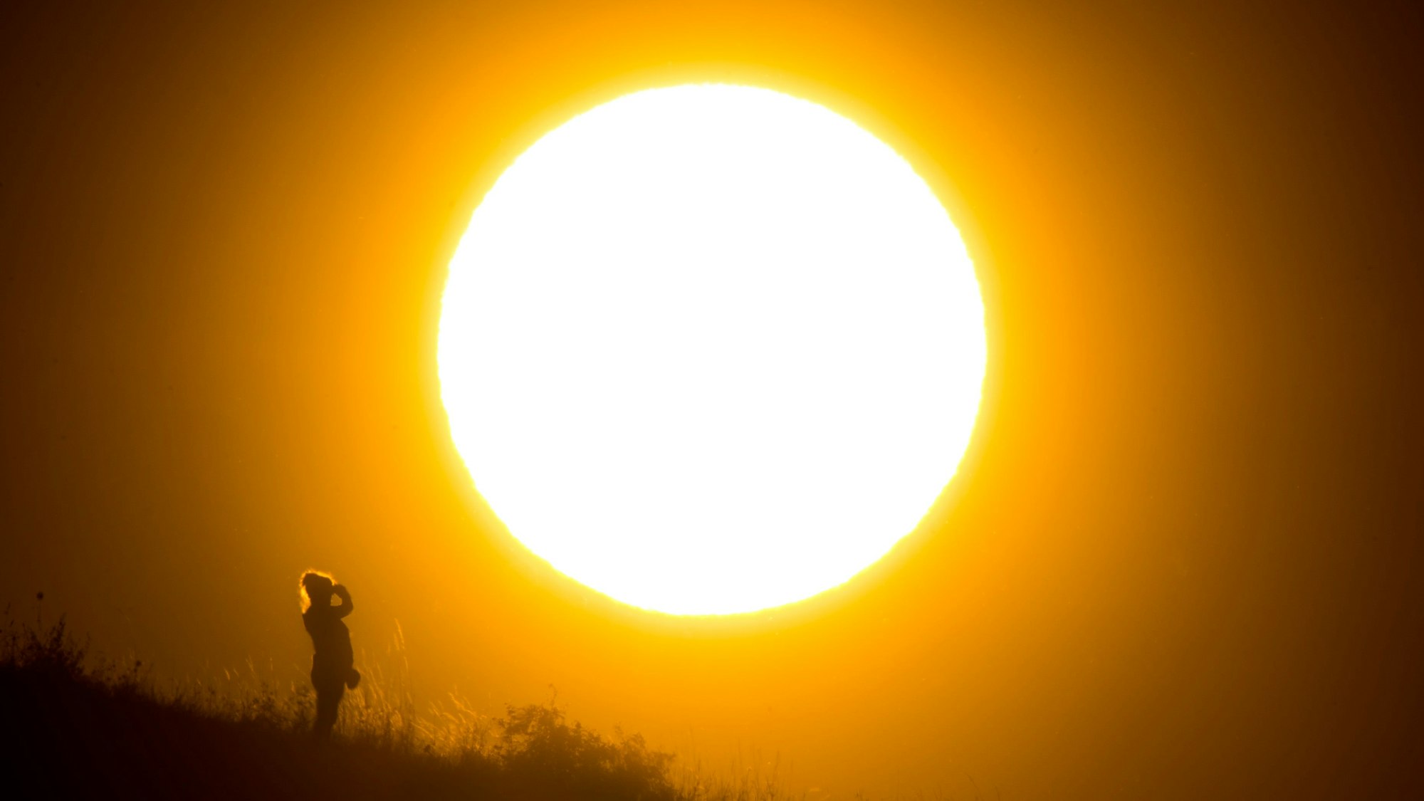 Eine Spaziergängerin steht vor der untergehenden Sonne am Kronsberg.