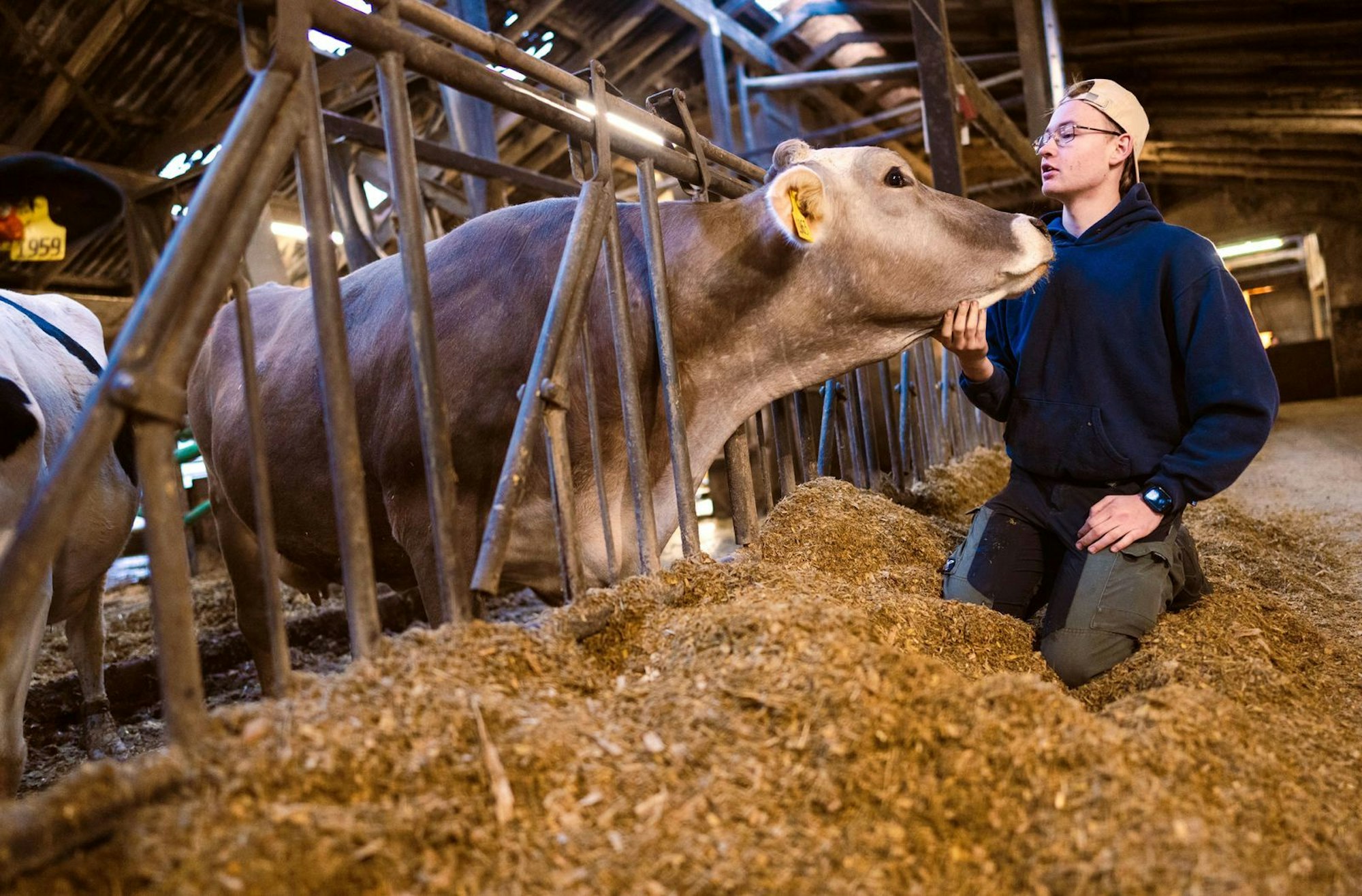 Landwirt-Azubi Jeffrey pflegt ein besonderes Verhältnis zu den Kühen. (Bild: WDR/Ben Knabe)