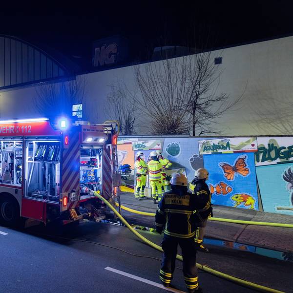 15.03.2022, Nordrhein-Westfalen, Köln: Einsatzkräfte der Feuerwehr arbeiten am Tropenhaus des Kölner Zoos. Im Kölner Zoo ist am Dienstagabend ein Feuer im Tropenhaus ausgebrochen. Anwohner hätten gegen 18.20 Uhr Rauch über dem Zoo gemeldet, sagte eine Sprecherin der Feuerwehr. Vermutlich sei Futter in Brand geraten. Mehr als 50 Einsatzkräfte seien vor Ort. Foto: Rolf Vennenbernd/dpa +++ dpa-Bildfunk +++
