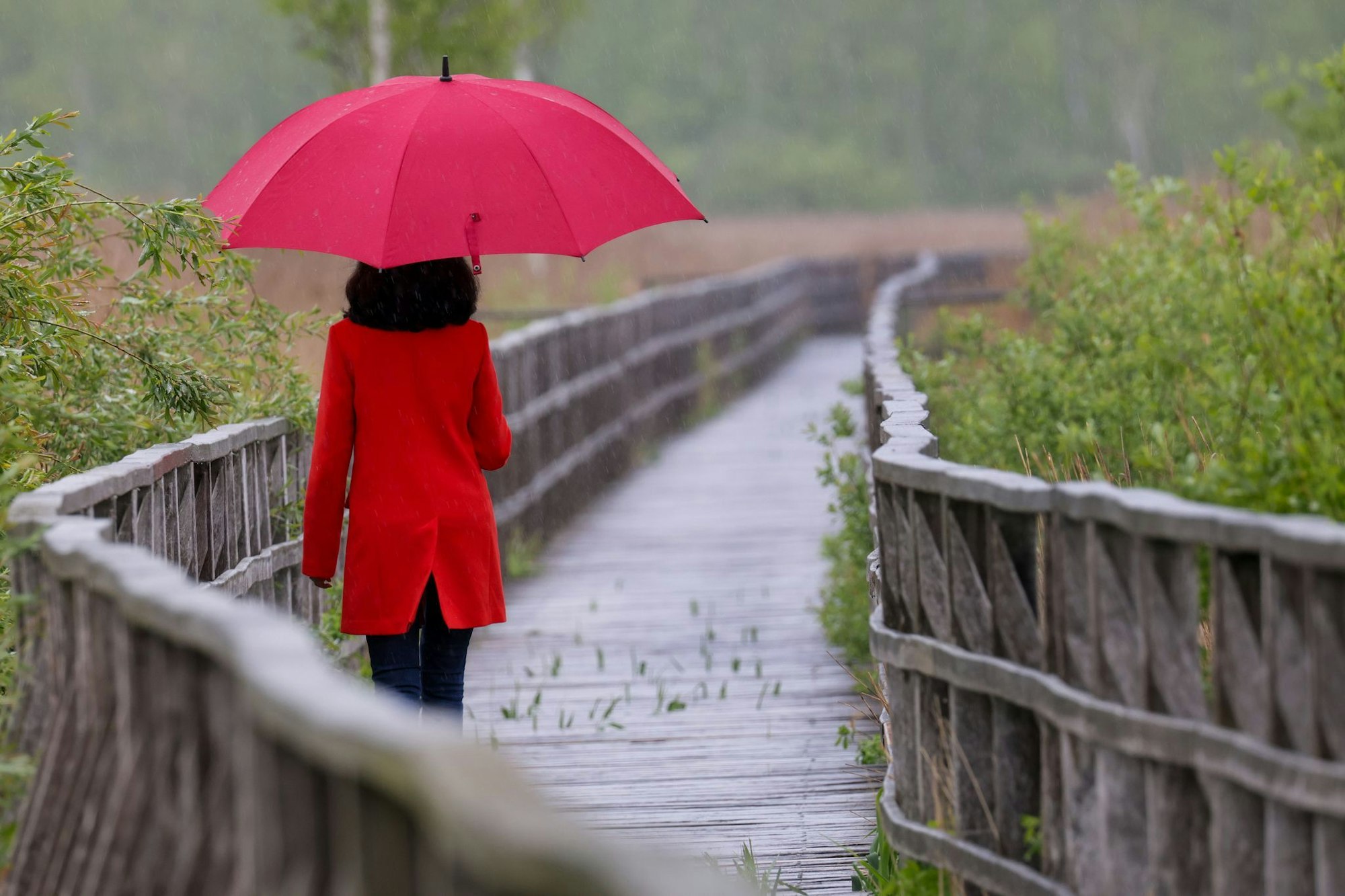 Der Regenschirm wird in den nächsten Tagen zum treuen Begleiter. (Symbolbild)