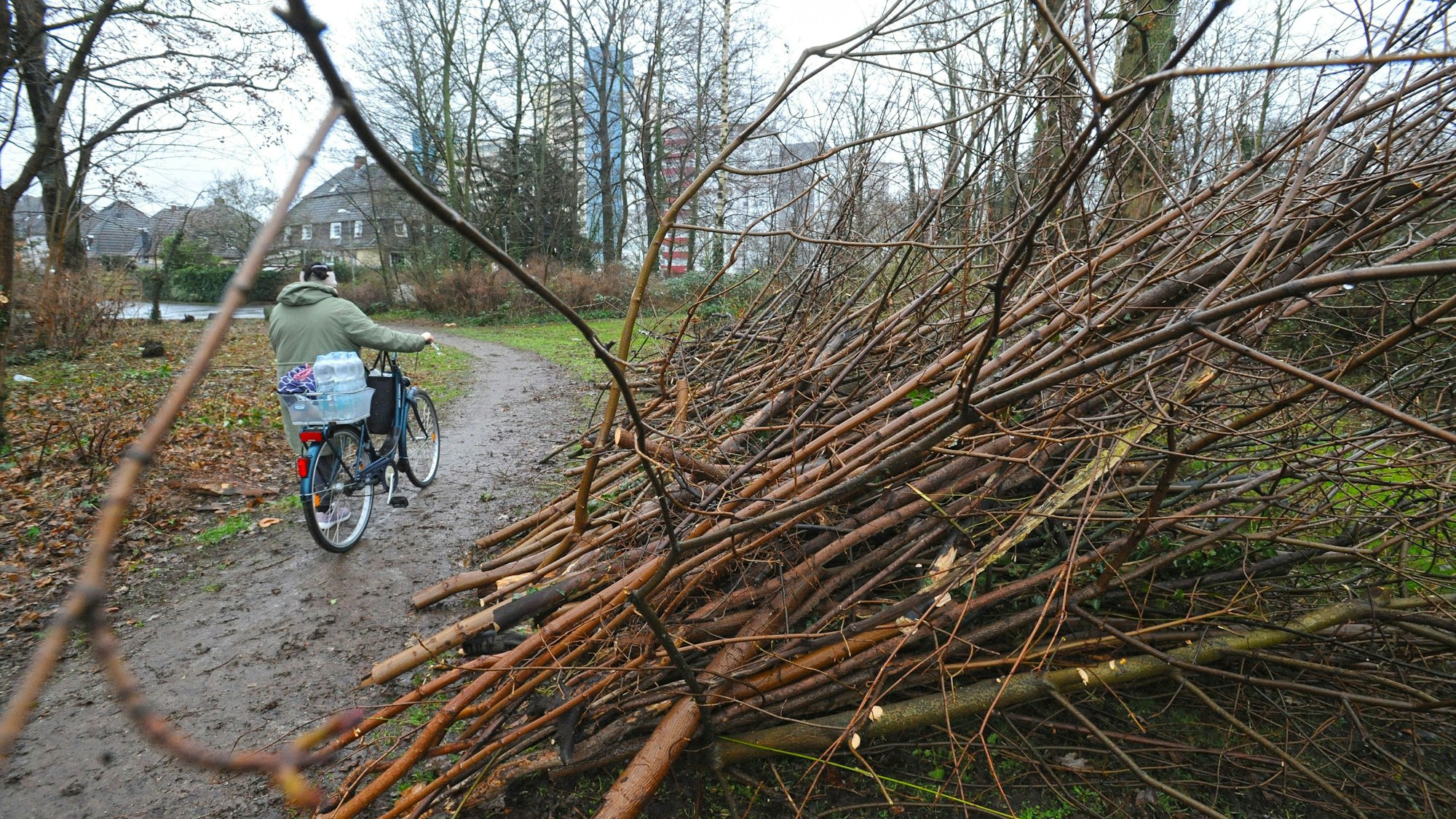 Große Mengen an Ästen grenzen dicht an einen Gehweg.