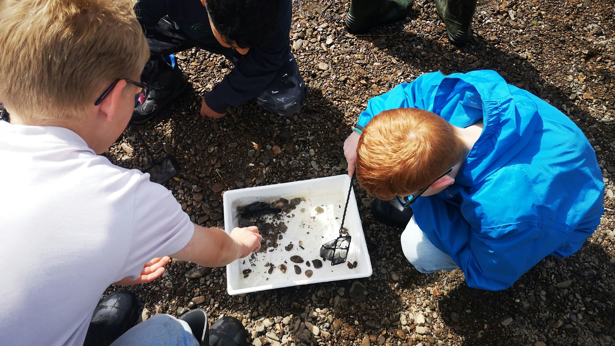 Lachsbesatzung der Lachspaten am Siegwehr: An der Kecher-Lernstation dürfen die Kinder selbst nach Kleinstlebewesen fischen, um sie zu bestimmen.