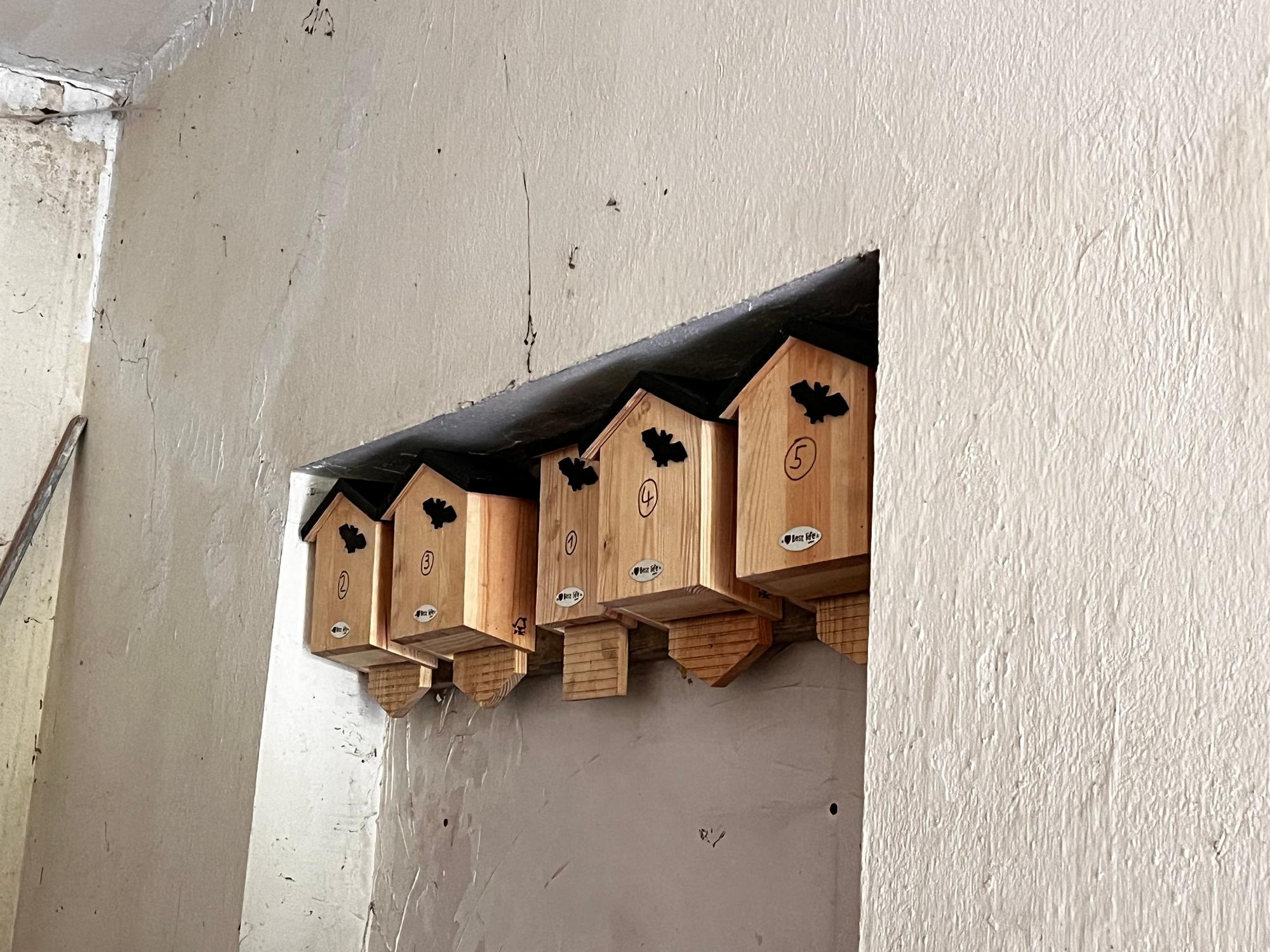 Vogelkästen hängen jetzt auch im Turbinenhaus.