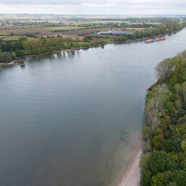 Die Rheingütestation Worms überwacht seit 1995 die Wasserqualität des Rheins, um Umweltkatastrophen wie 1986 zu vermeiden.