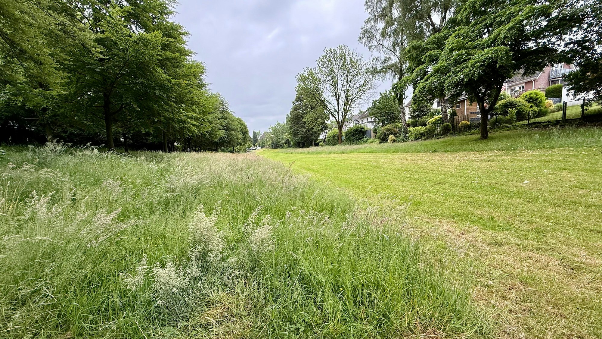 Grünland an der Floßwiese in Hilgen