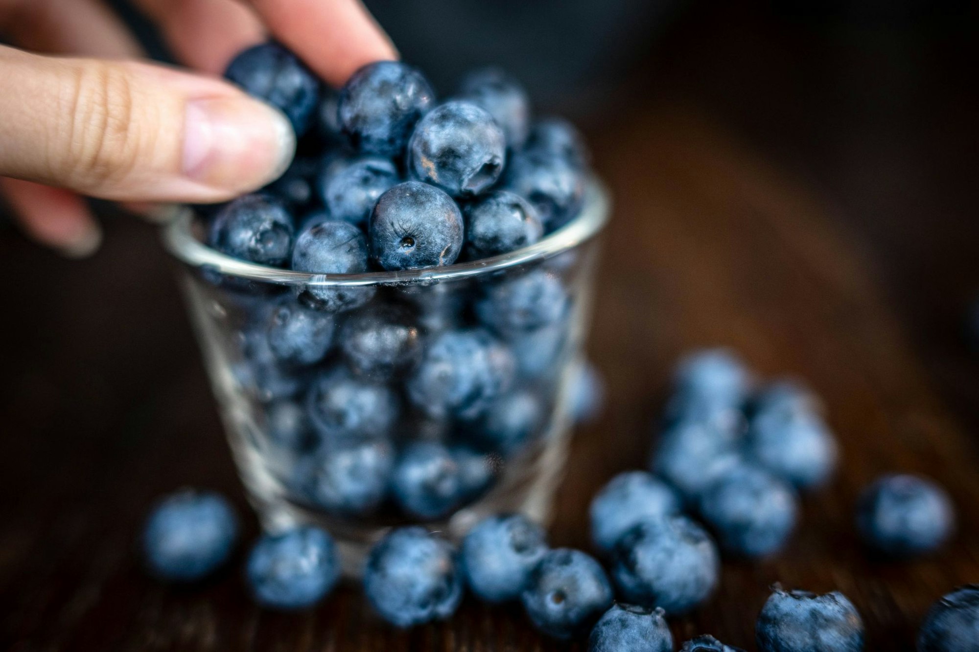 Klein, blau, erfolgreich als Snack: die Heidelbeere. Sie boomt immer noch. (Archivfoto)