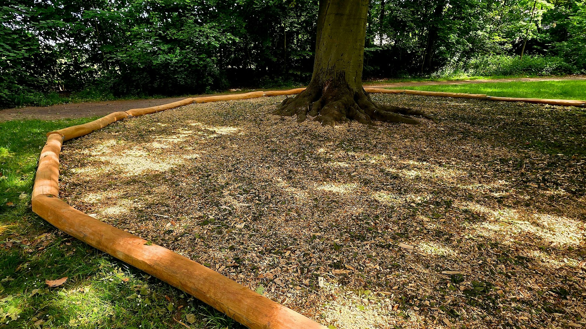 Die Stadt Leichlingen will die 35 Meter hohe Rotbuche im nördlichen Teil des Eicherhofparks retten.