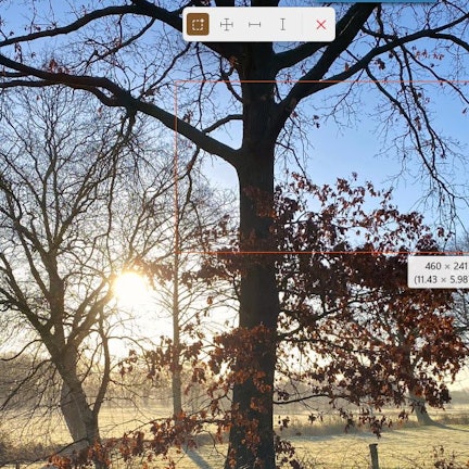 Das Tool Bildschirmlineal misst Abstände auf einem Foto