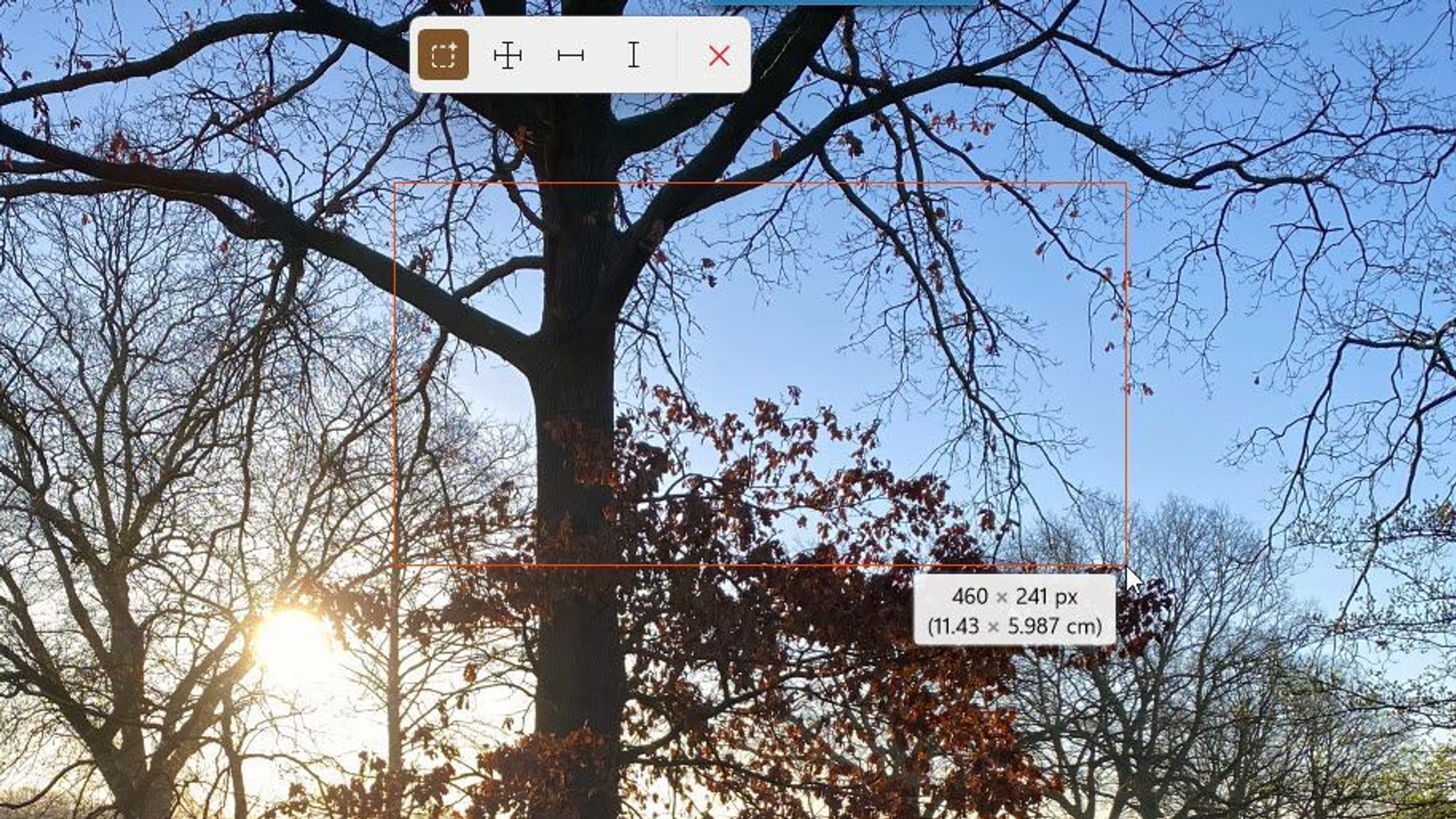 Das Tool Bildschirmlineal misst Abstände auf einem Foto