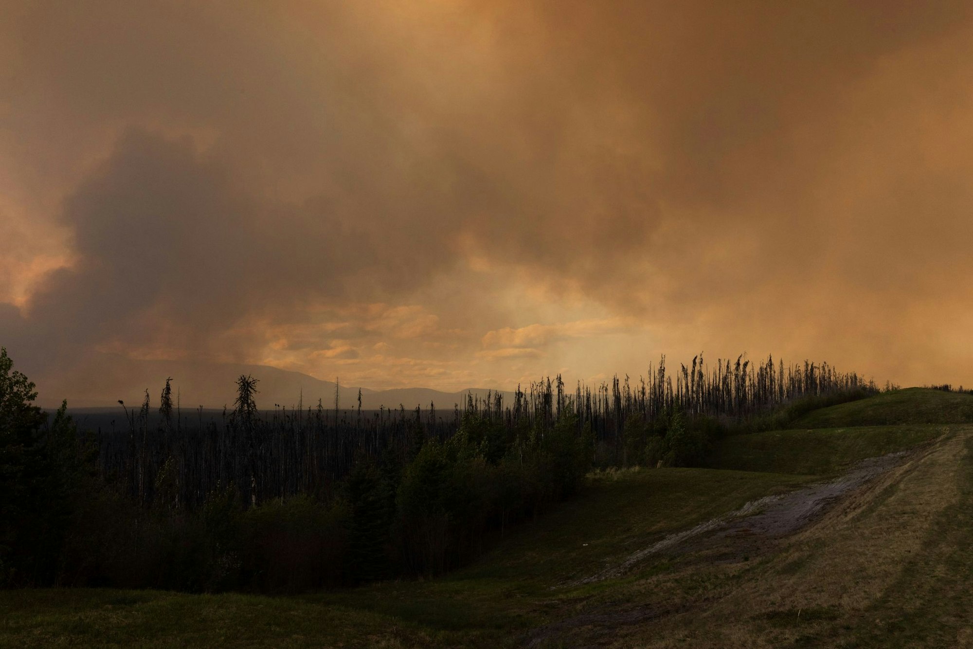 Der Rauch eines Waldbrandes hängt in der Luft über dem Highway 97 (British Columbia).