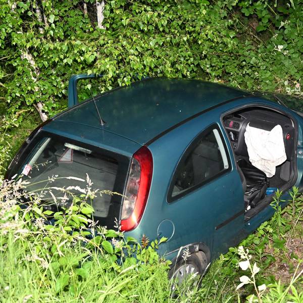 Das Bild zeigt ein Auto in einem Straßengraben.