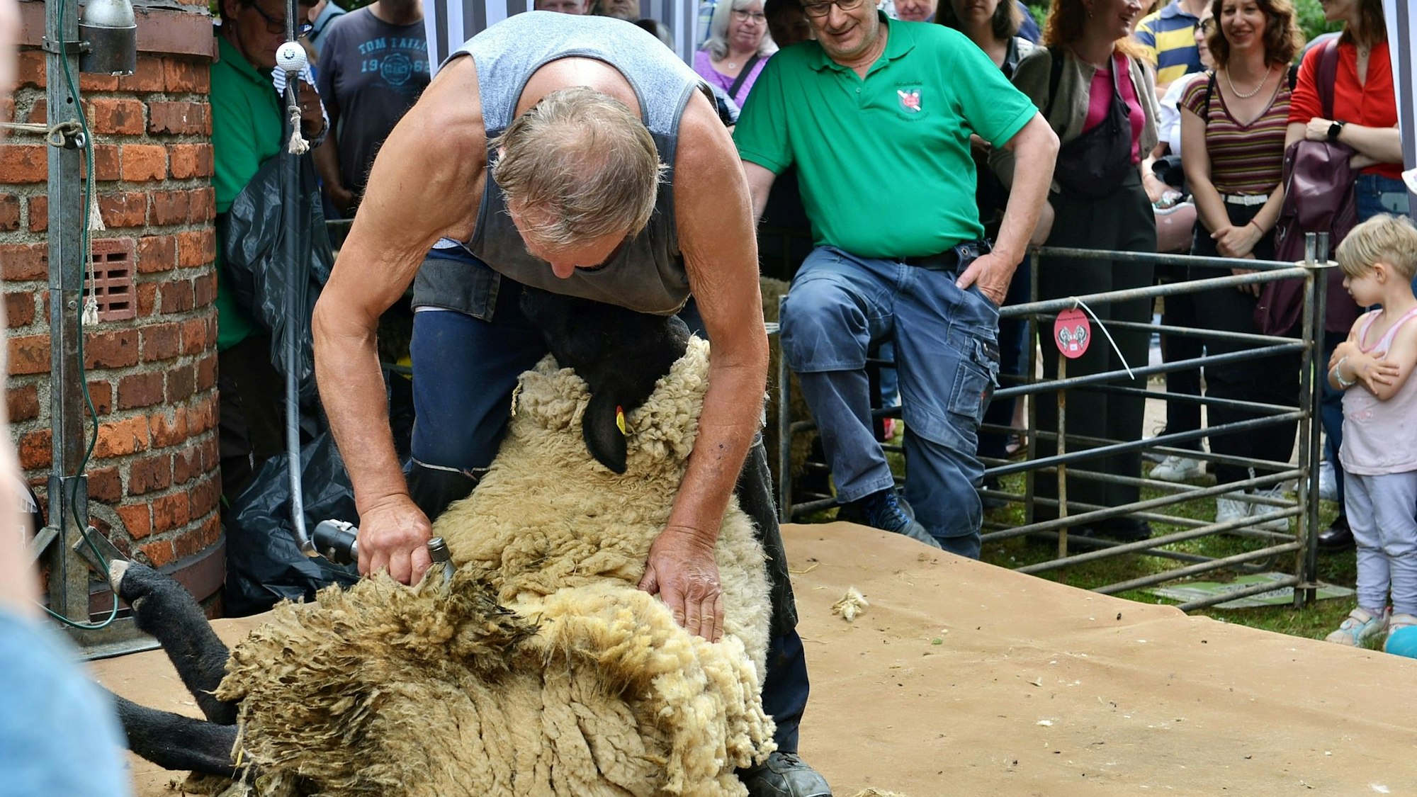 Das Foto zeigt Erich Weckwerth bei der Arbeit.
