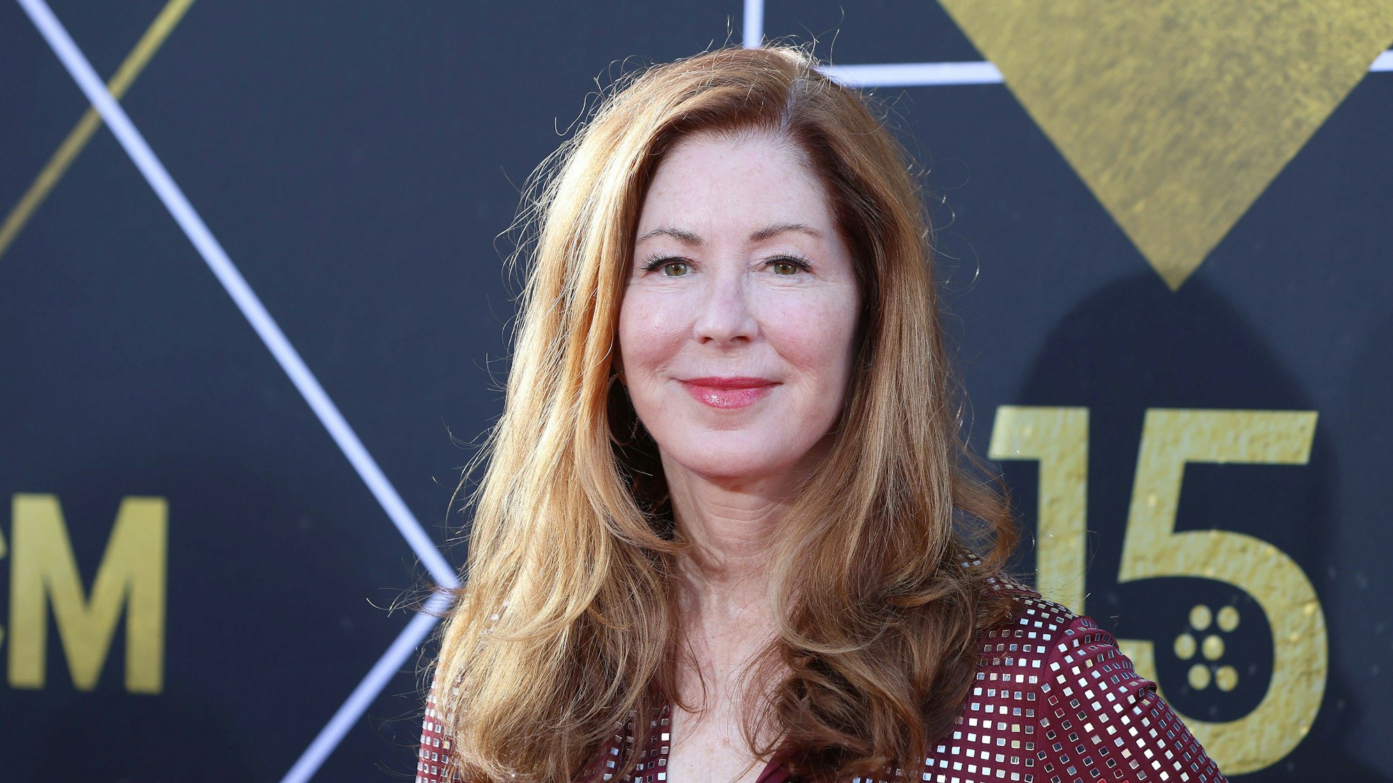 Dana Delany bei einem seltenen Auftritt auf dem roten Teppich.