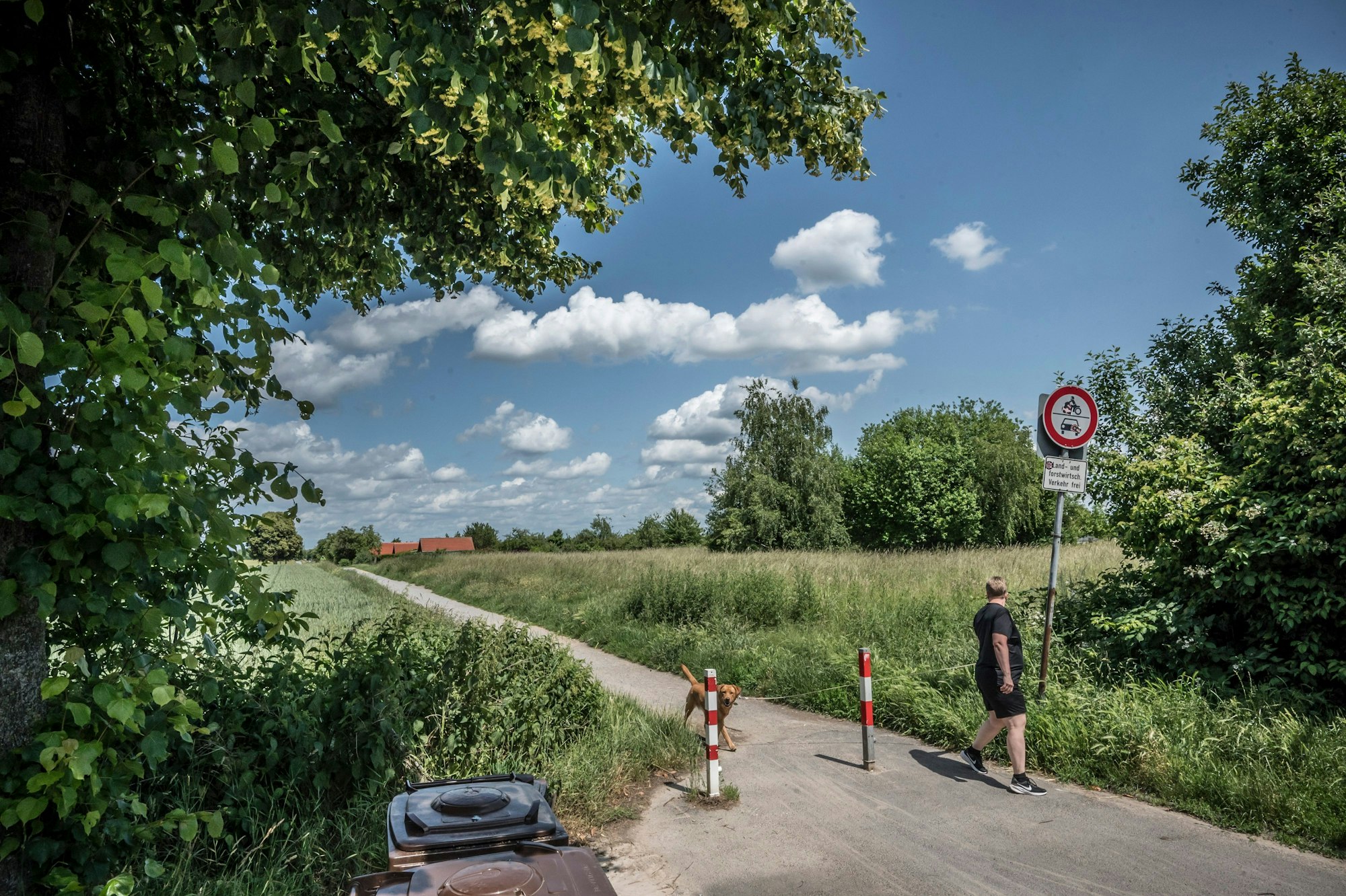 Am Ende der Weinhäuserstraße will der Investor gernot Paeschke eine Kita bauen und sie für 20 jahre an die Stadt vermieten. Foto: Ralf Krieger