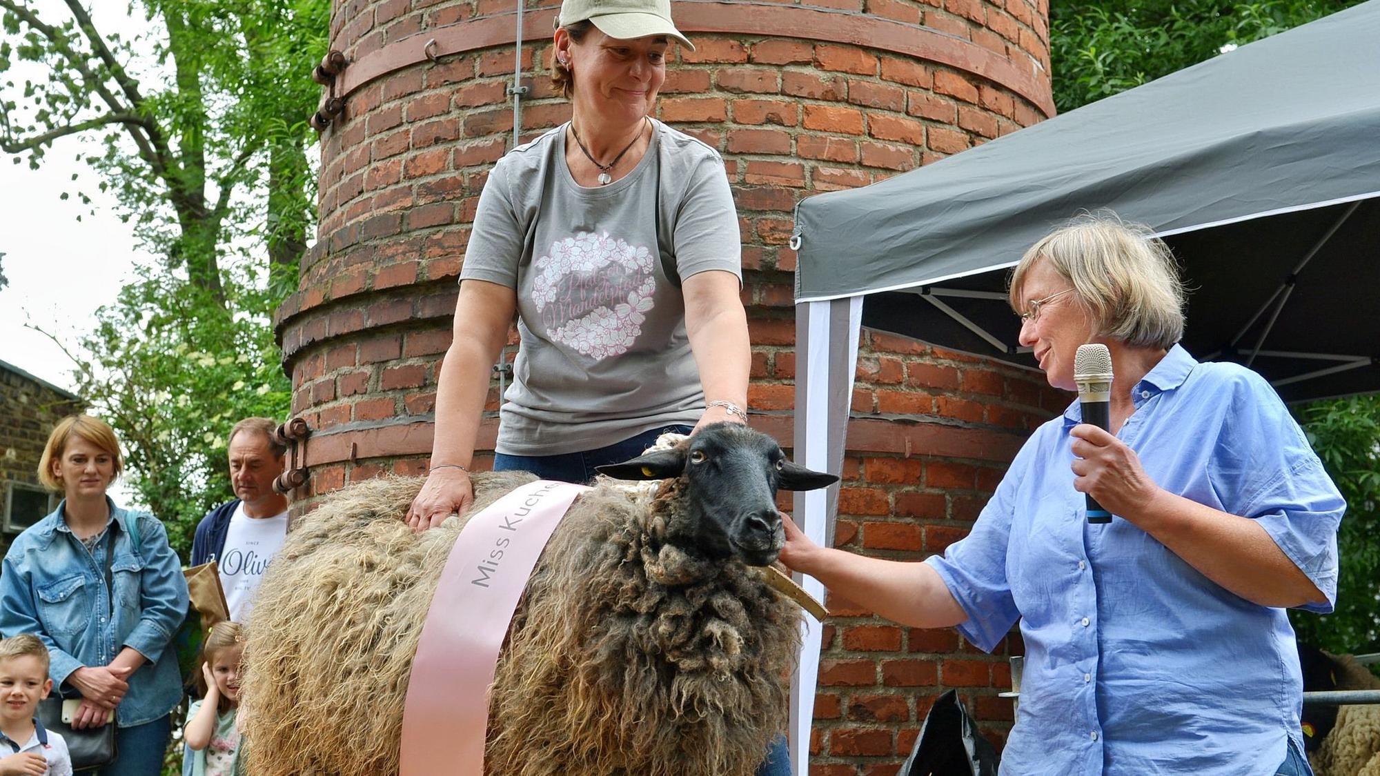 Ein Schaf trägt die Schärpe mit der Aufschrift „Miss Kuchenheim“. Es wird von einer Frau geführt, eine andere Frau steht daneben und hält ein Mikrofon in der Hand.