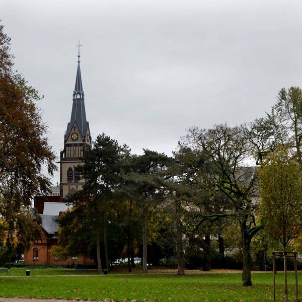 Zu sehen sind Bäume des Stadtgartens mit der Christuskirche im Hintergrund.