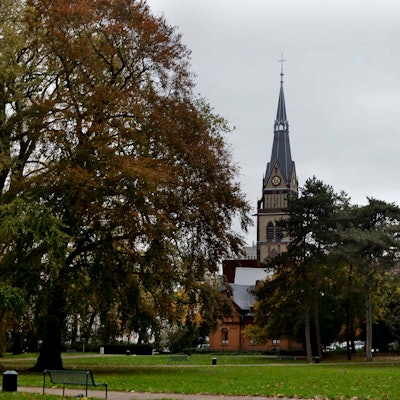 Zu sehen sind Bäume des Stadtgartens mit der Christuskirche im Hintergrund.