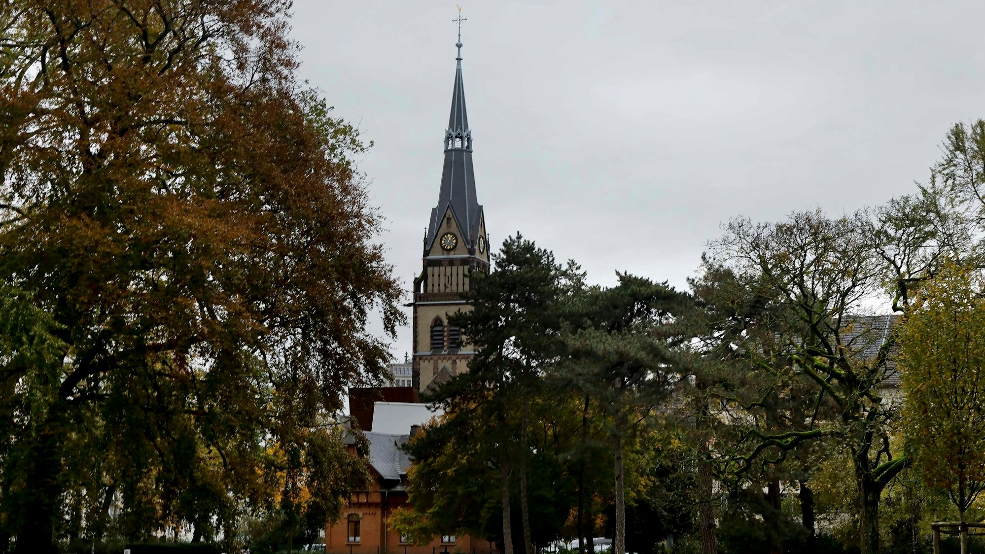Zu sehen sind Bäume des Stadtgartens mit der Christuskirche im Hintergrund.