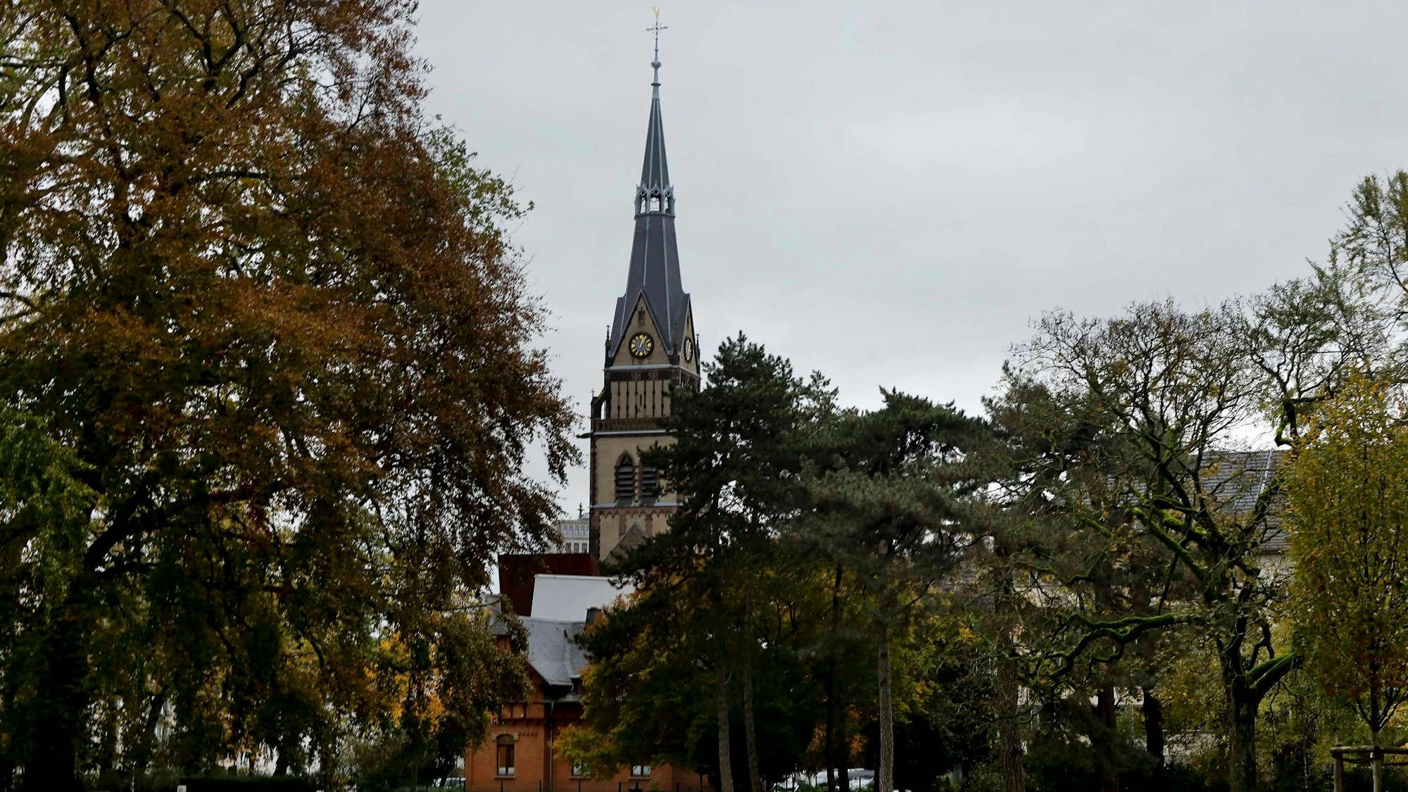 Zu sehen sind Bäume des Stadtgartens mit der Christuskirche im Hintergrund.