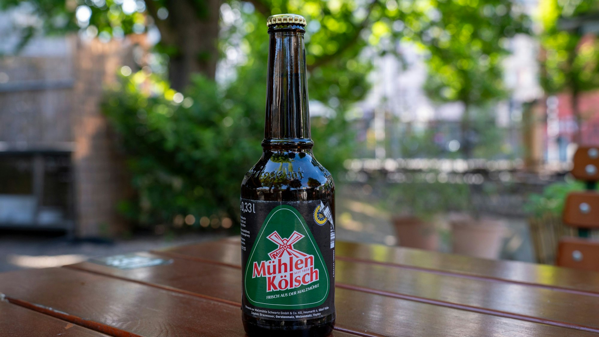 Das Mühlen-Kölsch hat eine leichte Zitrusnote im Geruch.