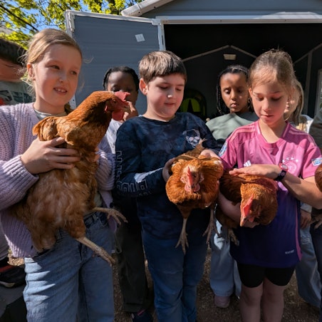 Das Foto zeigt eine Archivaufnahme mit den Kindern und den vier Schulhühnern.