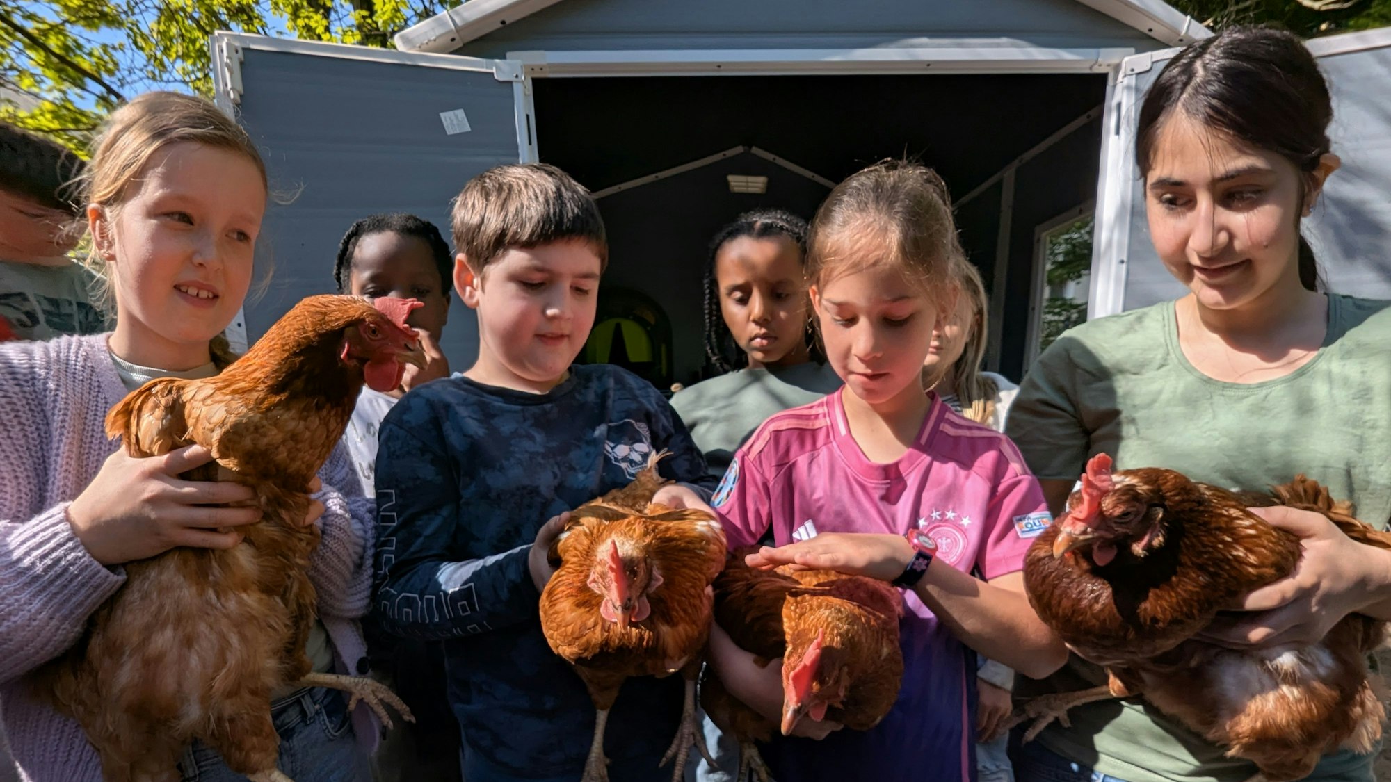 Das Foto zeigt eine Archivaufnahme mit den Kindern und den vier Schulhühnern.