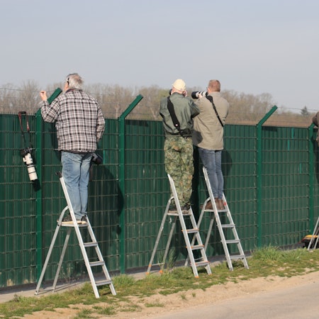 Ohne Leiter geht es nicht mehr, seit der neue engmaschige Zaun zum Teil mit Sichtschutz installiert wurde.