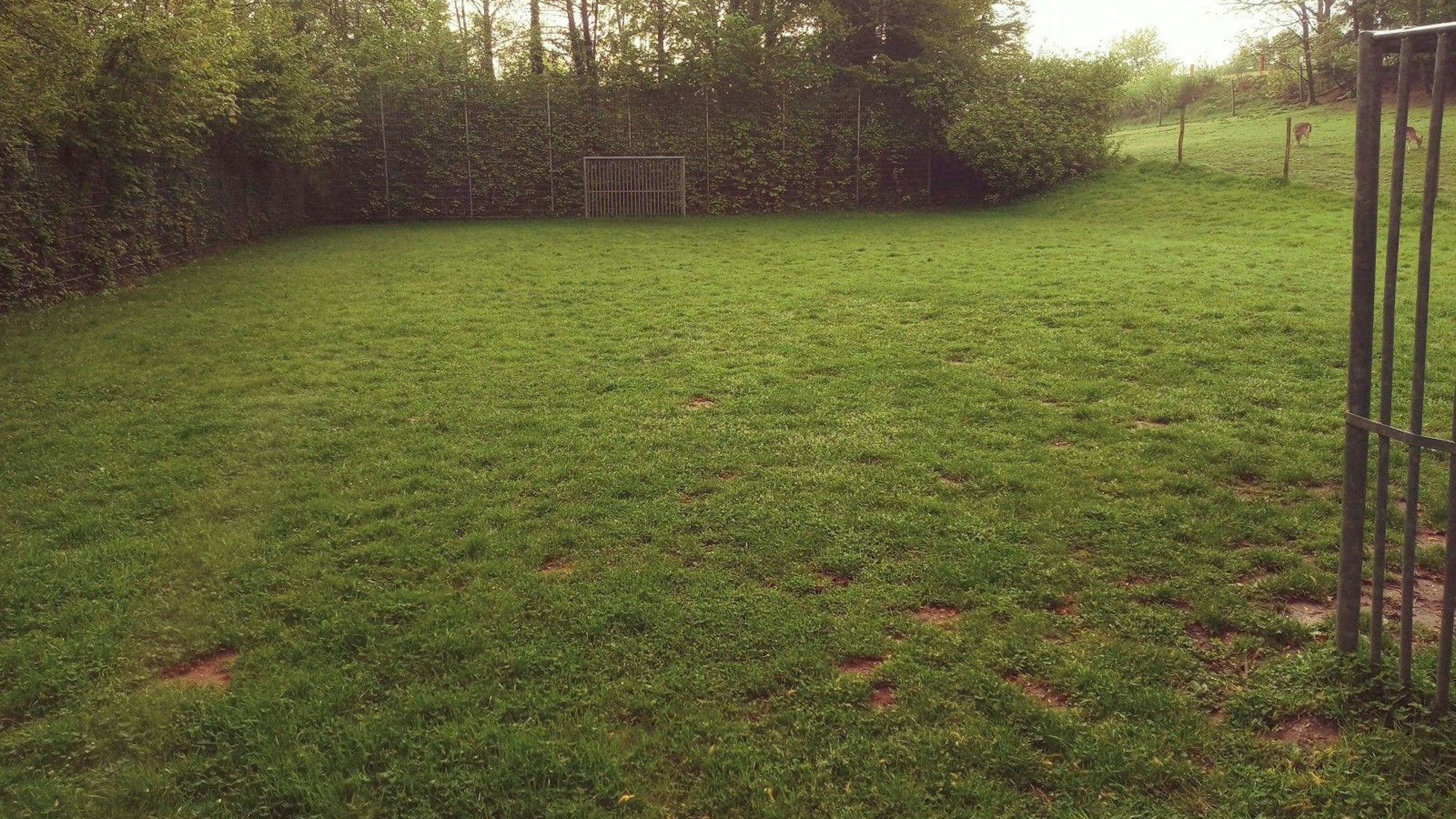Mit dem Honrather Bolzplatz an der Straße Zum Kammerberg ist die Stadt Lohmar allgemein zufrieden, kleine Unebenheiten sollen mit neuem Sand ausgebessert werden.
