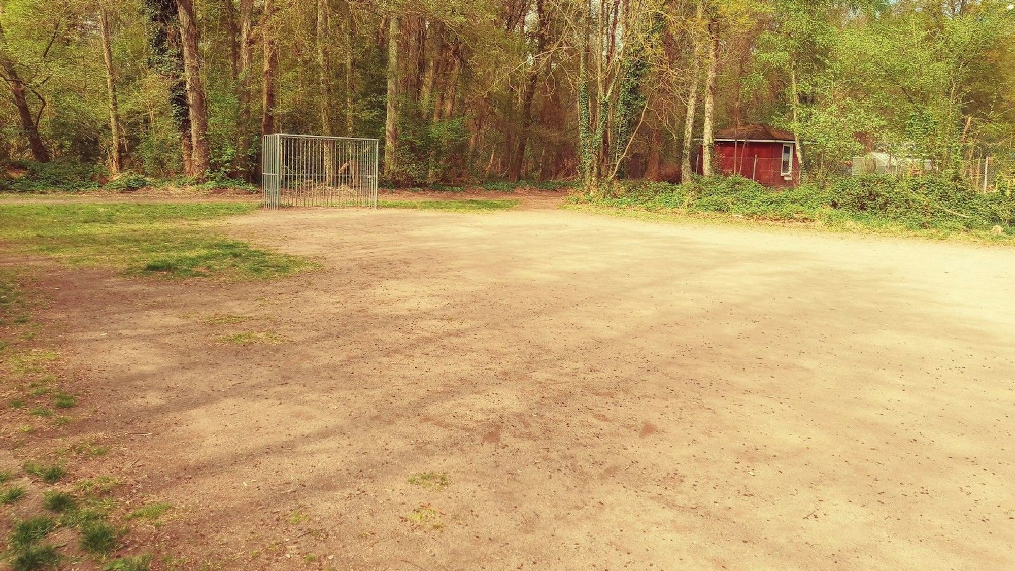 Der Bolzplatz in Heide: Jugendliche kamen in den Ausschuss, um zu erfahren, wann es endlich einen neuen Ballfangzaun geben soll