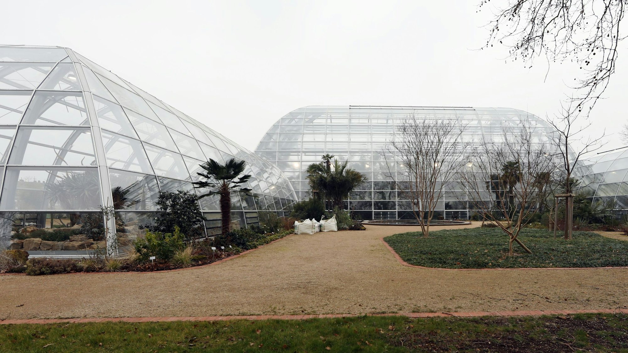 Die neuen Schaugewächshäuser