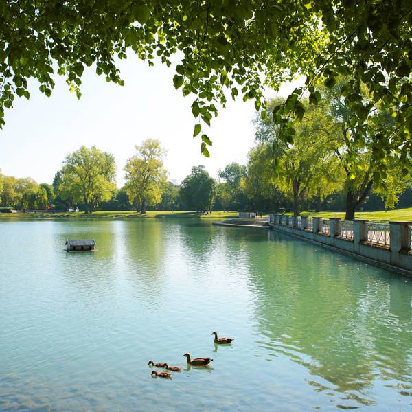 Ein für Köln ungewöhnlich geordneter Ausblick: der Aachener Weiher