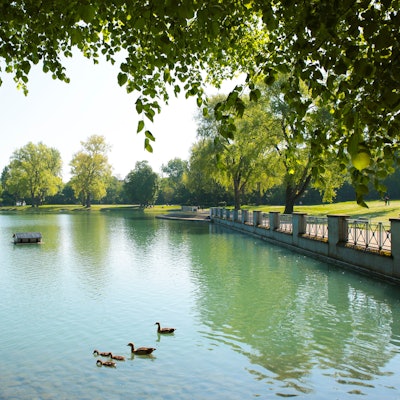 Ein für Köln ungewöhnlich geordneter Ausblick: der Aachener Weiher