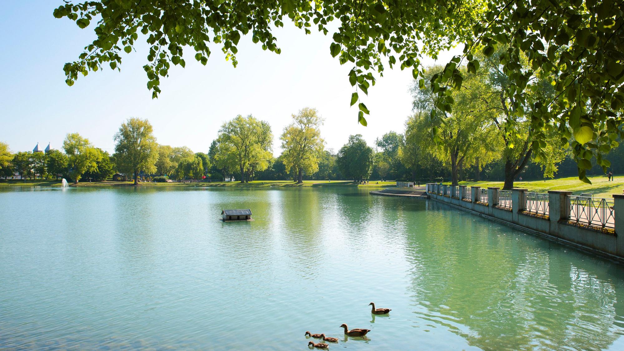 Ein für Köln ungewöhnlich geordneter Ausblick: der Aachener Weiher