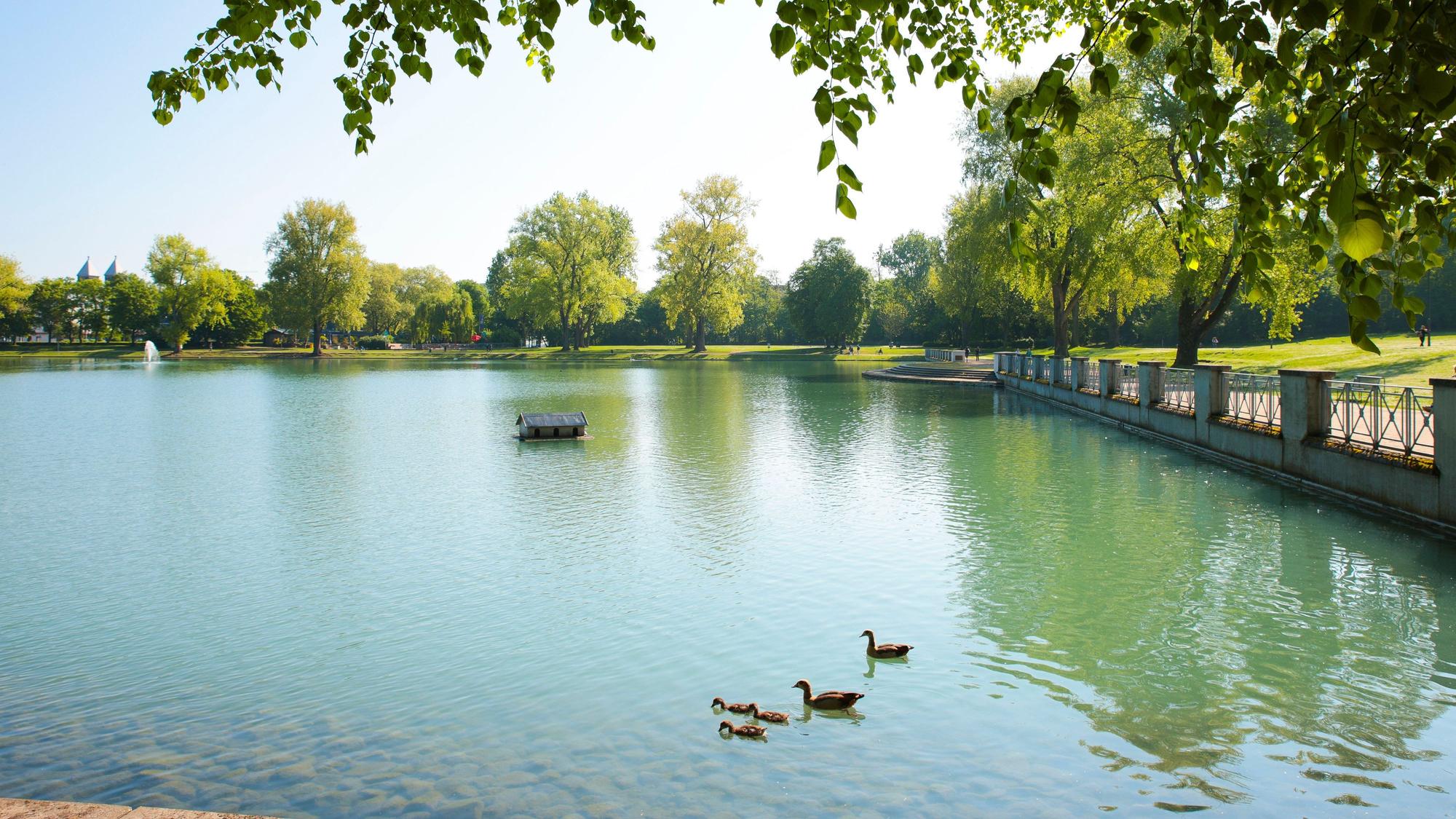 Köln: Wetter Frühling am Aachener Weiher