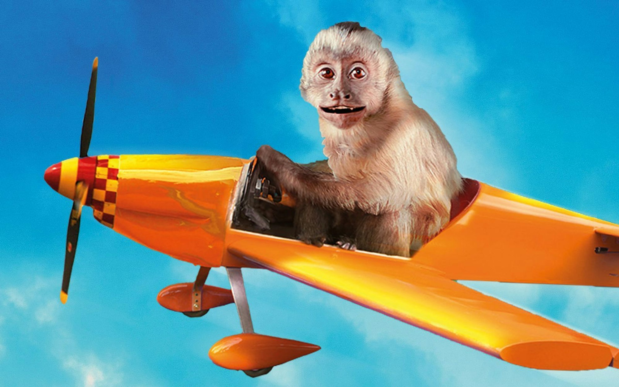 „Akiko, der fliegende Affe“ wurde beim Deutschen Filmpreis in der Kategorie „Bester Kinderfilm“ ausgezeichnet. (Bild: Veit Helmer Filmproduktion/Farbfilm Verleih)