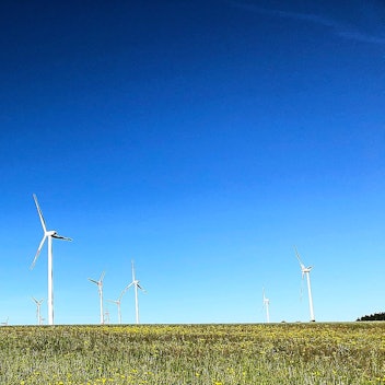 In einem Bereich der Eifel-Landschaft drehen sich zahlreiche Windräder unter dem strahlend blauen Himmel.