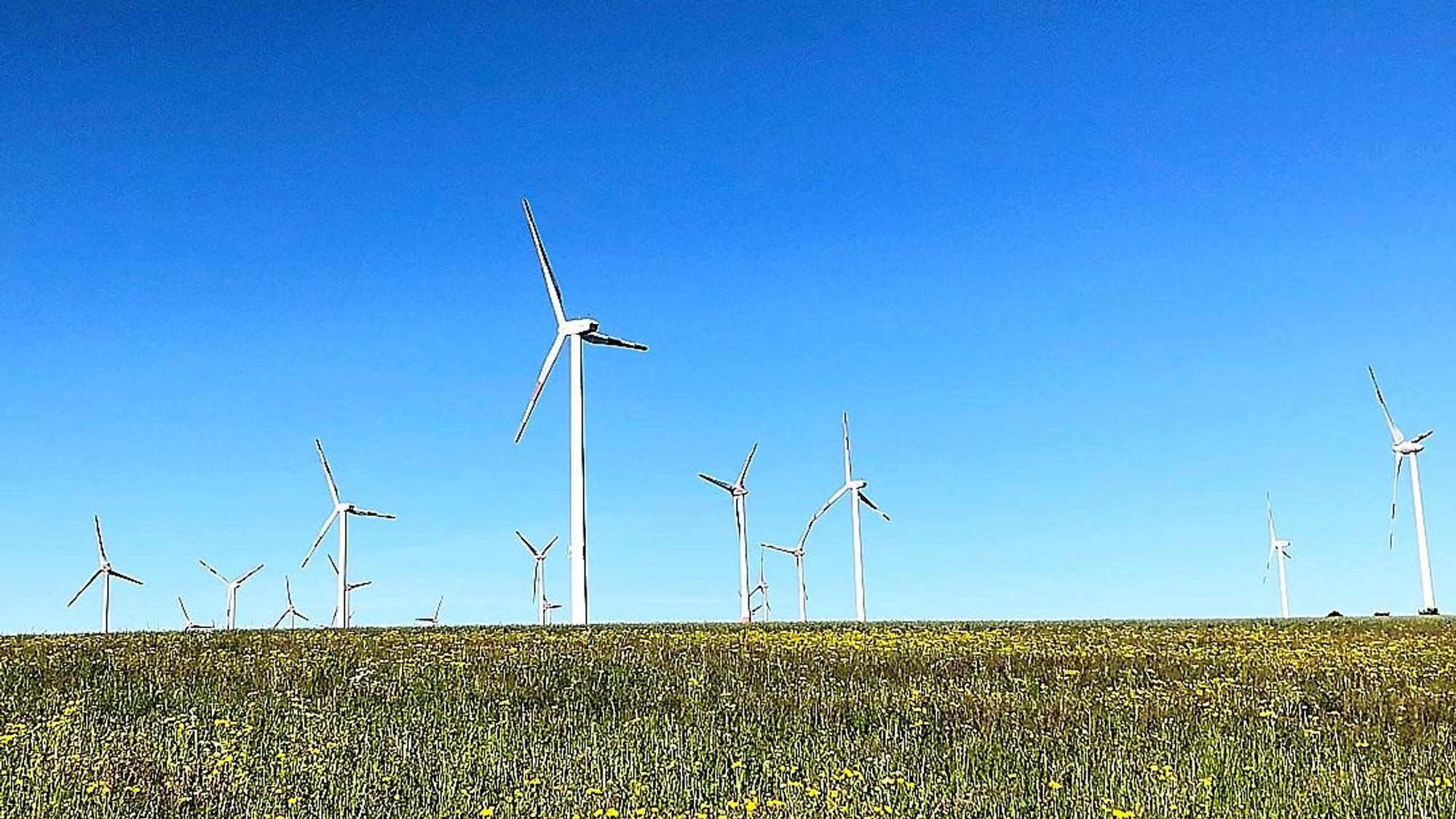 In einem Bereich der Eifel-Landschaft drehen sich zahlreiche Windräder unter dem strahlend blauen Himmel.