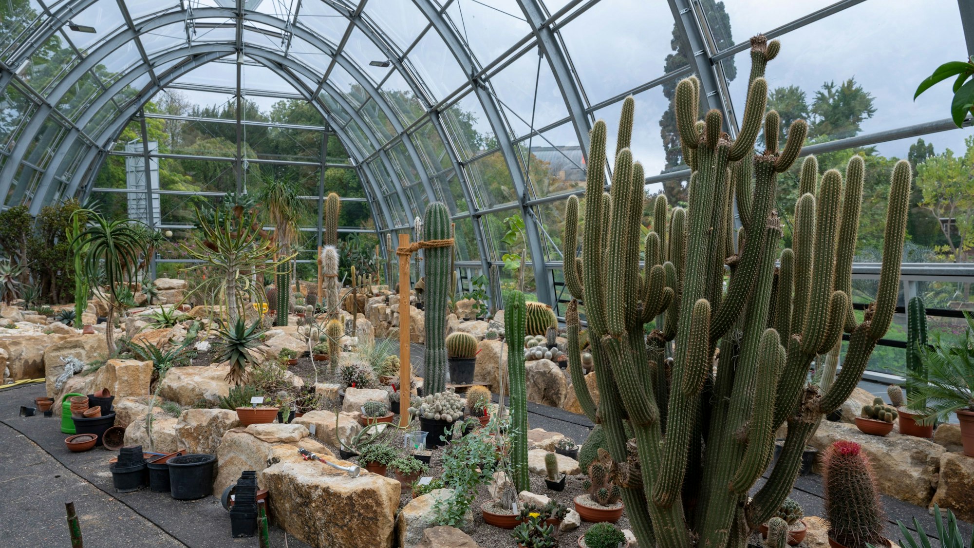 13.09.2023, Köln: Das neue Schaugewächshaus im Botanischen Garten ist noch nicht ganz fertig. Foto: Uwe Weiser