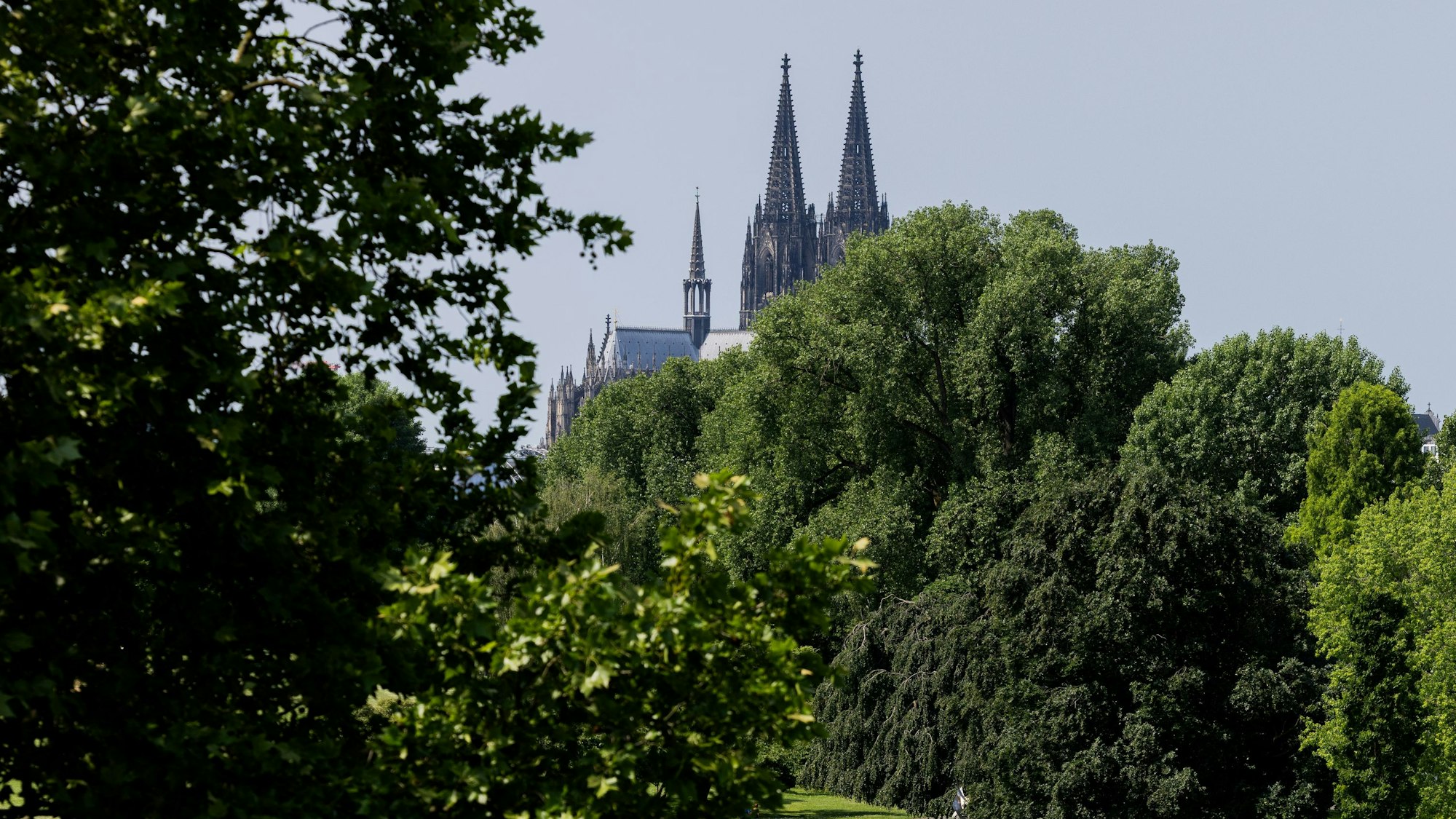 Eine Kleinbahn fährt bei Sonnenschein vor der Kulisse des Kölner Doms durch das Grün im Rheinpark.