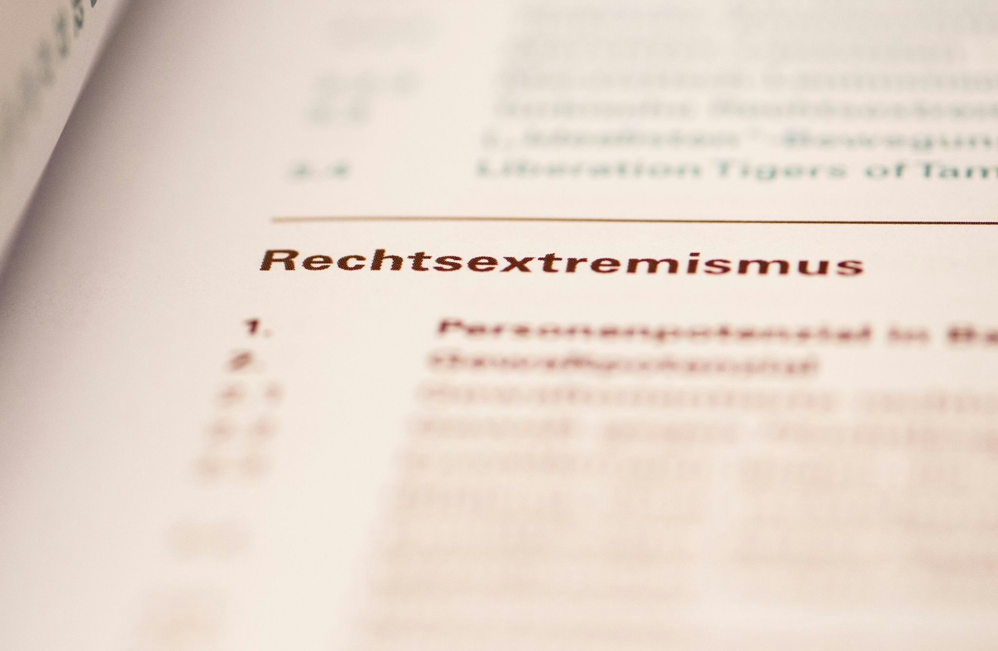 Active Clubs: Neue Organisationsform im rechtsextremen Spektrum