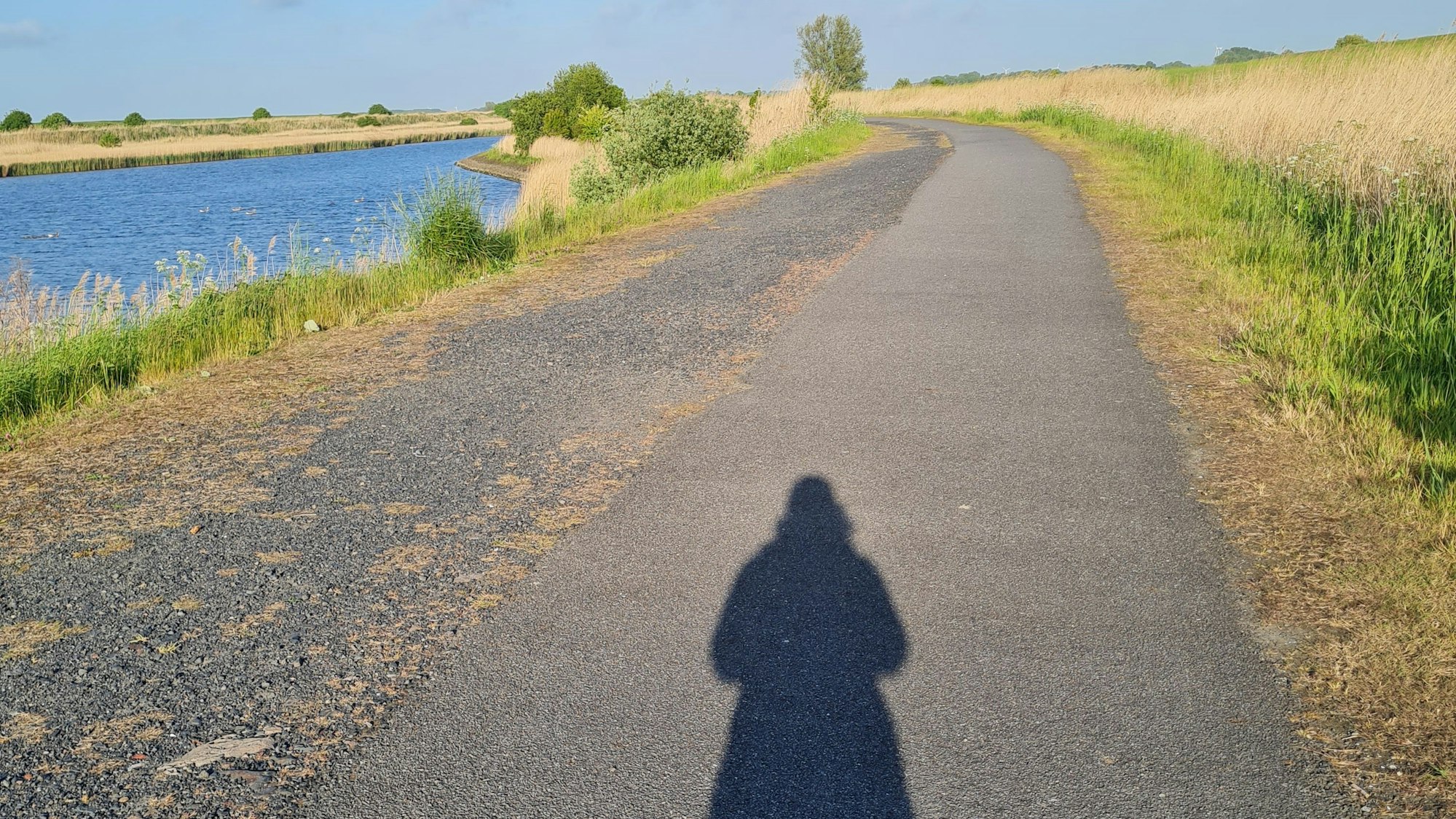 Der Schatten einer Person fällt auf eine Straße, die an einem Gewässer verläuft. Am Wegesrand sind hohe Gräser, im Hintergrund stehen Bäume und Sträucher.