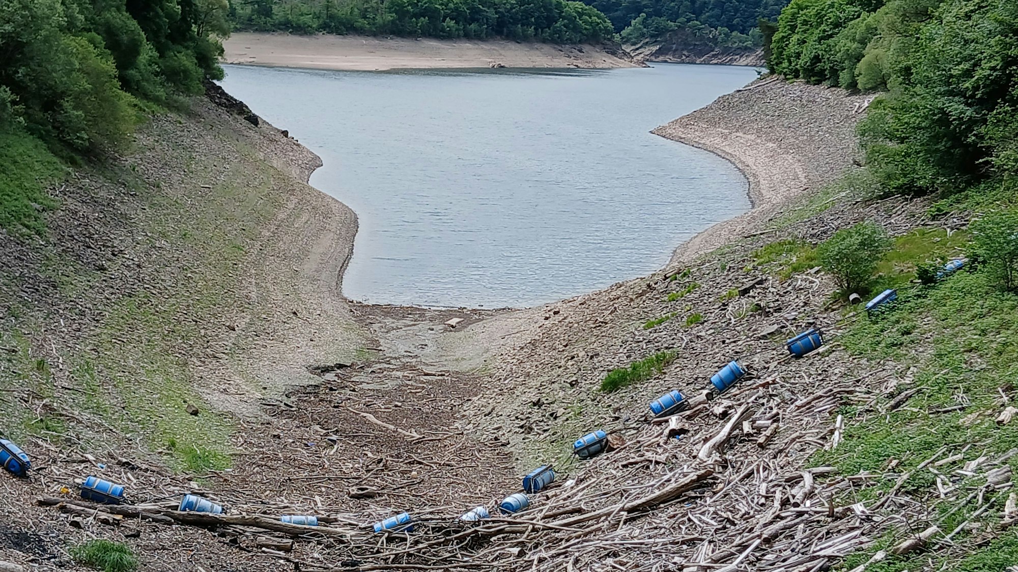 Treibgut liegt im Vordergrund des Bildes. Im Hintergrund befinden sich ein See und Bäume.