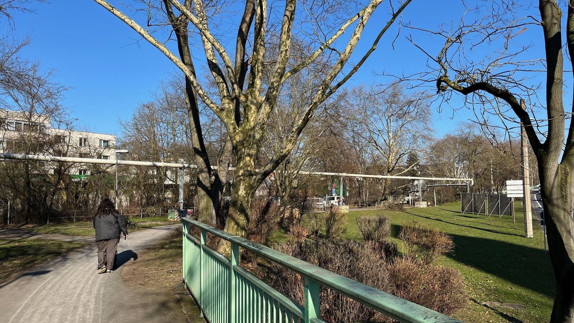 Die Fläche an der Löwengasse, auf der die Containerwache für rund zehn Jahre stehen soll.