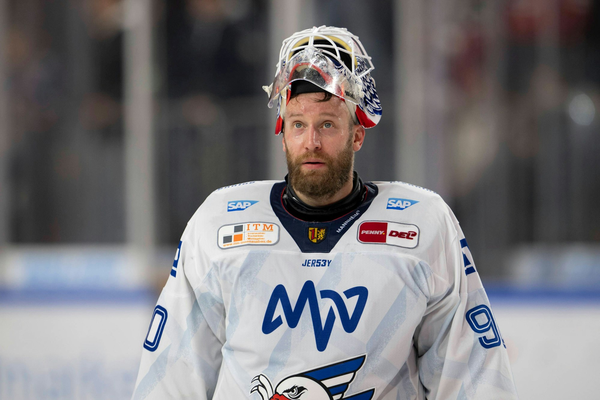 PENNY DEL 1 Kölner Haie - Adler Mannheim Köln, 02.02.2025 Felix Brückmann Adler Mannheim, 90 PENNY DEL 1 Kölner Haie - Adler Mannheim am 02.02.2025 in der Lanxess Arena in Köln Deutschland. *** PENNY DEL 1 Kölner Haie Adler Mannheim Cologne, 02 02 2025 Felix Brückmann Adler Mannheim, 90 PENNY DEL 1 Kölner Haie Adler Mannheim on 02 02 2025 at the Lanxess Arena in Cologne Germany Copyright: xBEAUTIFULxSPORTS/AndreasxDickx