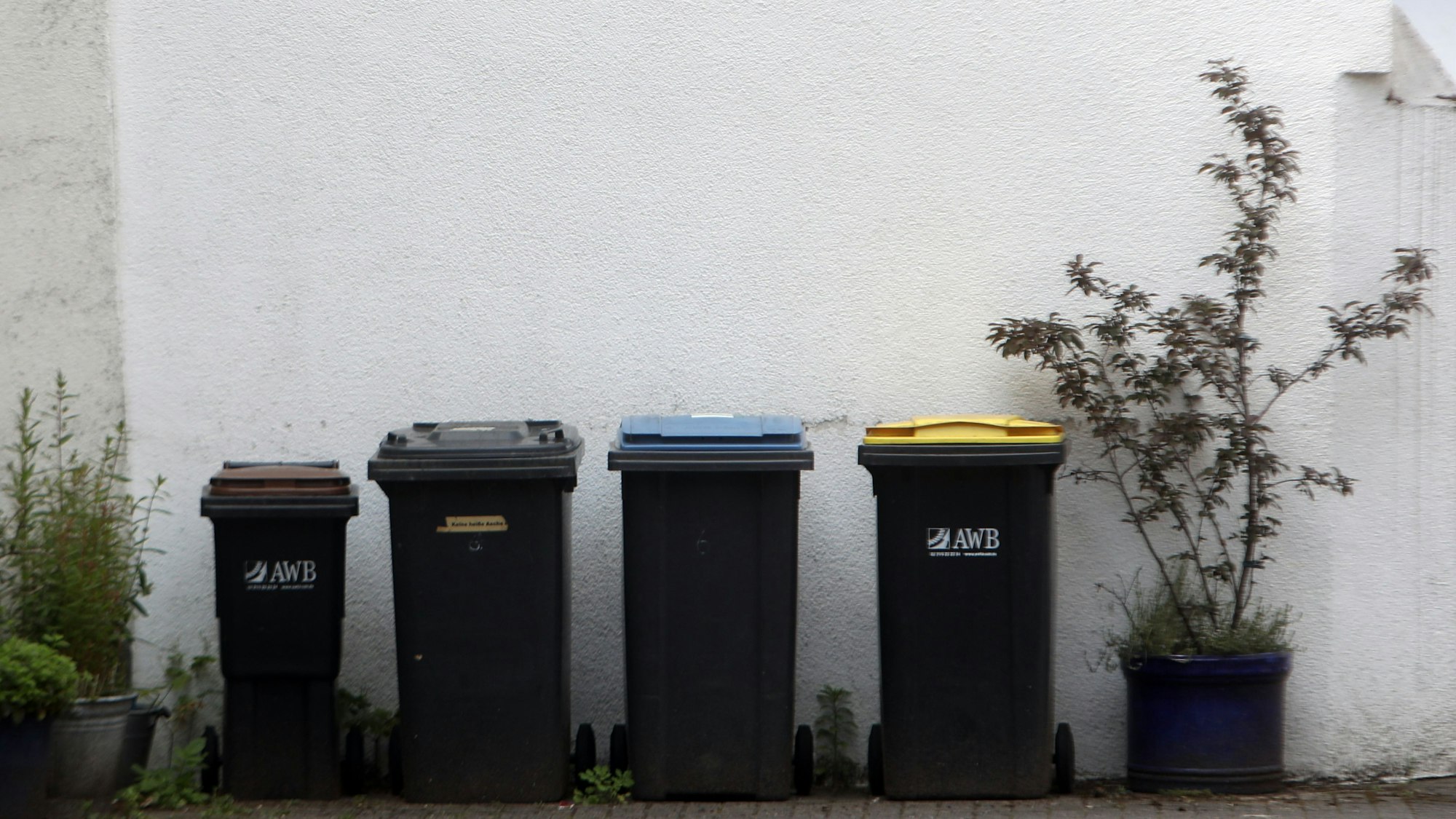 63 Prozent der Kölner Haushalt trennen ihren Müll über alle vier verfügbaren Tonnen – zu wenig findet die Stadt.