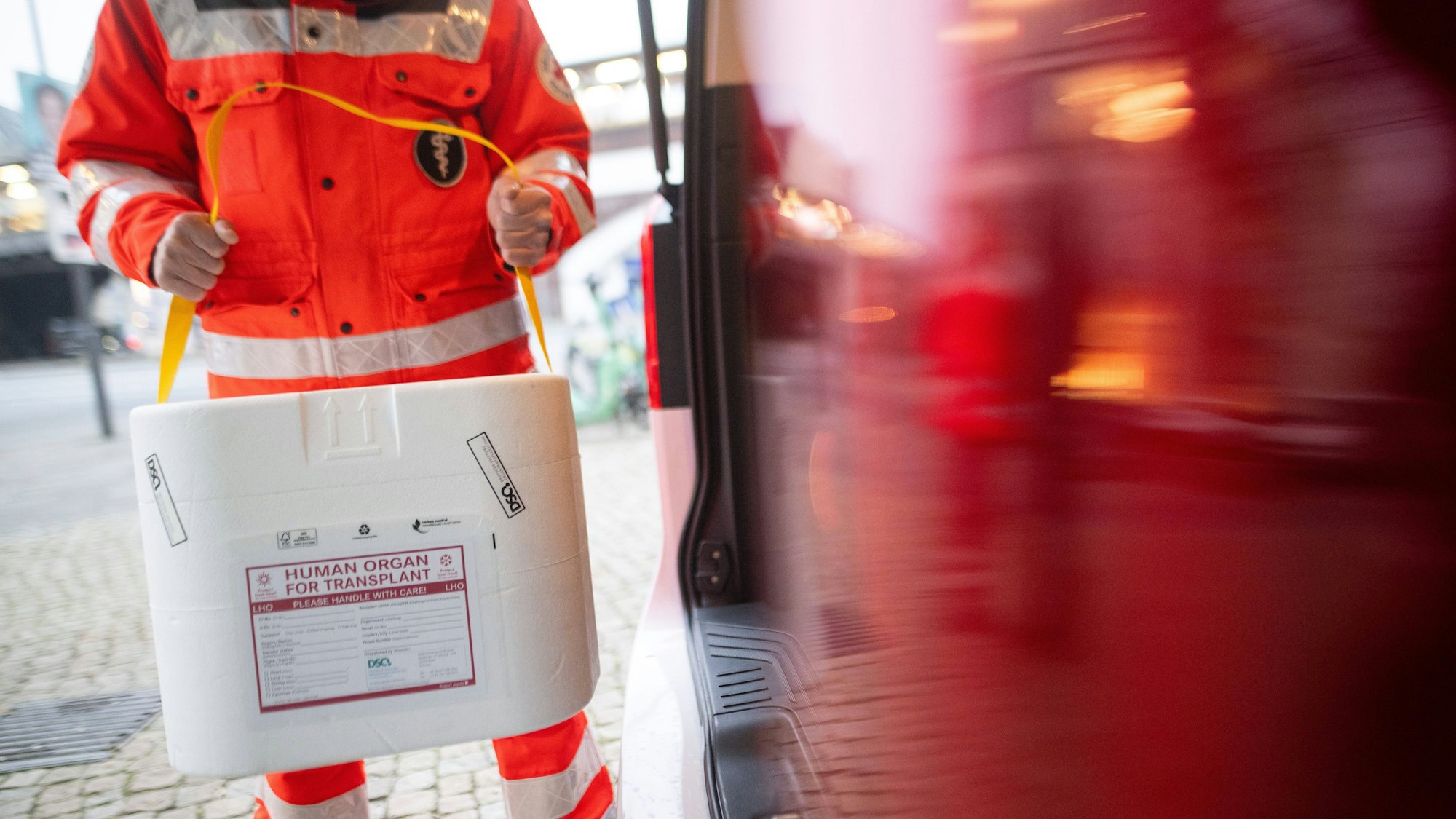 Ein Mitarbeiter des DRK stellt eine Kühlbox für eine Organspende in einen Transporter des Deutschen Roten Kreuzes. (gestellte Szene)
